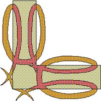 THORN4.BMP