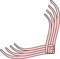 PINKDLT4.BMP