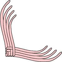 PINKDLT3.BMP