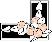 FRUIT4.BMP
