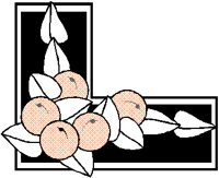 FRUIT3.BMP