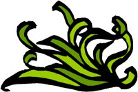 FRILL3.BMP