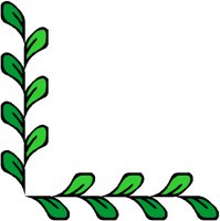 CORN3_4.BMP