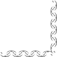 CLOVER4.BMP