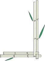 BAMBOO4.BMP
