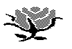 ROSEBUD.BMP