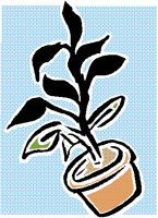 PLANT.BMP