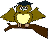 WISEOWL.BMP