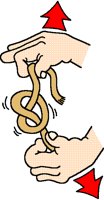 KNOT.BMP