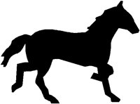 HORSE.BMP
