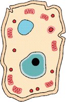 CELL.BMP