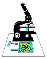 BIOLOGY.BMP