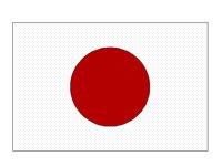 FLAG3.BMP
