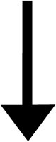 FCARW08.BMP