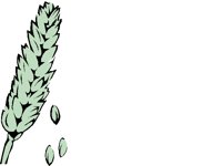 WHEAT1.BMP