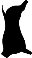 SYMB452.BMP