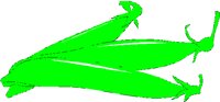 SNOPEAS.BMP