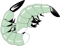 SHRIMPS.BMP