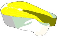 SALMON.BMP