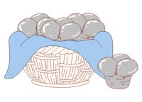 ROLLS.BMP
