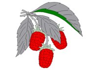 RASPBRRY.BMP