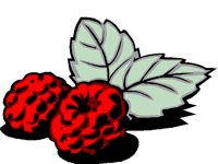 RASPBERY.BMP