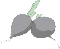 RADISH.BMP