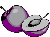 PLUMS.BMP