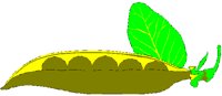 PEAPOD.BMP