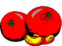 ORANGES1.BMP
