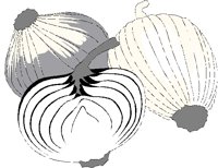 ONION.BMP