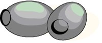 OLIVEI.BMP