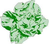 LETTUCE.BMP