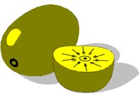KIWI.BMP