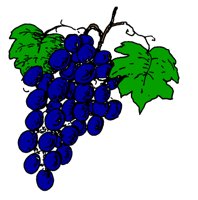 GRAPES.PCX