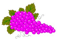 GRAPES.BMP