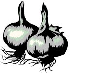 GARLIC.BMP