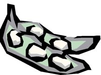 FOOD0546.BMP