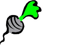 FOOD0516.BMP
