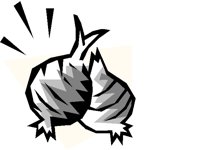 FOOD0078.BMP