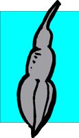 FOO255.BMP