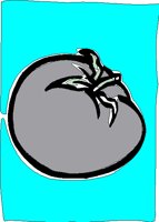 FOO240.BMP
