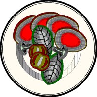 FOO118.BMP