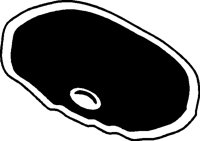 FOO116.BMP