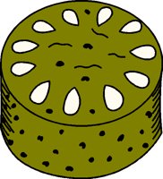 FOO055.BMP