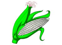 CORNCOBS.BMP