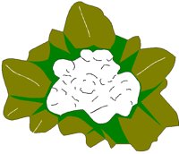 CAULIFLR.BMP