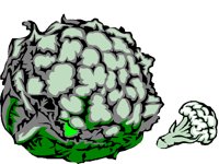 CAULFLWR.BMP