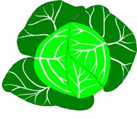 CABBAGE.BMP