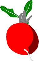 BEET.BMP